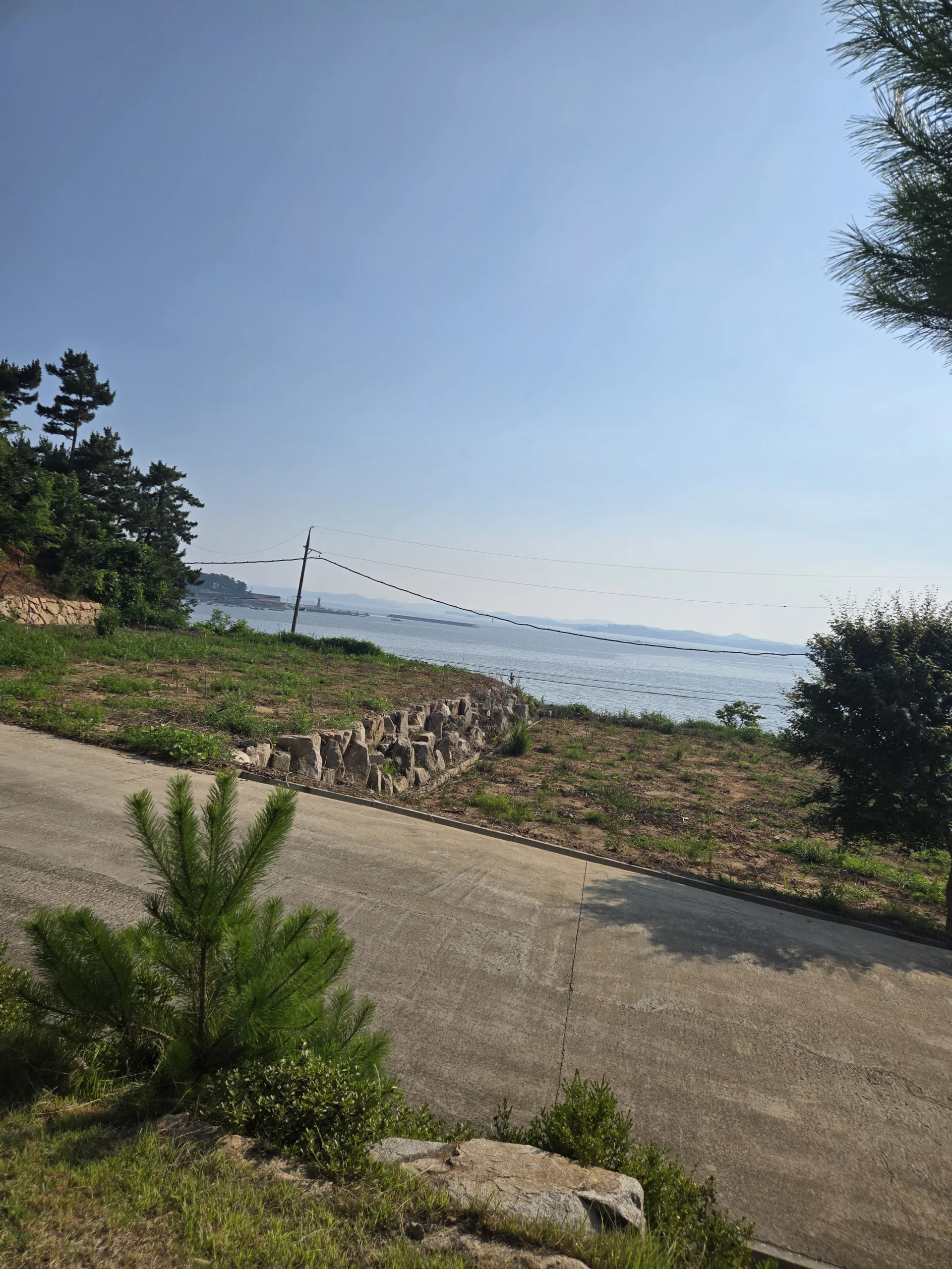 정원 마감·소품 배치 실습 실습 사진